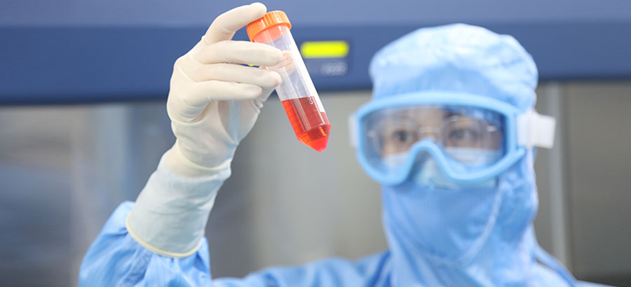 Stake(�й���)�ٷ���վ