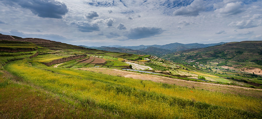 Stake(�й���)�ٷ���վ