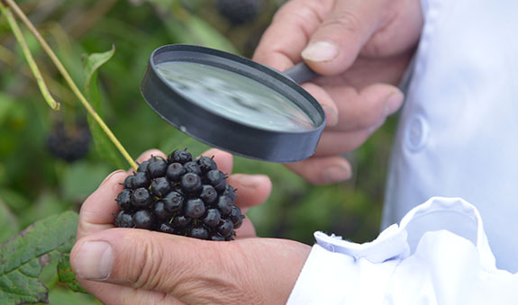 Stake(�й���)�ٷ���վ