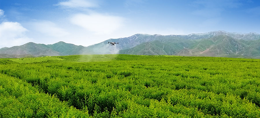 Stake(�й���)�ٷ���վ